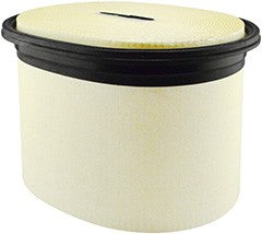 Filtro aria - CA30071